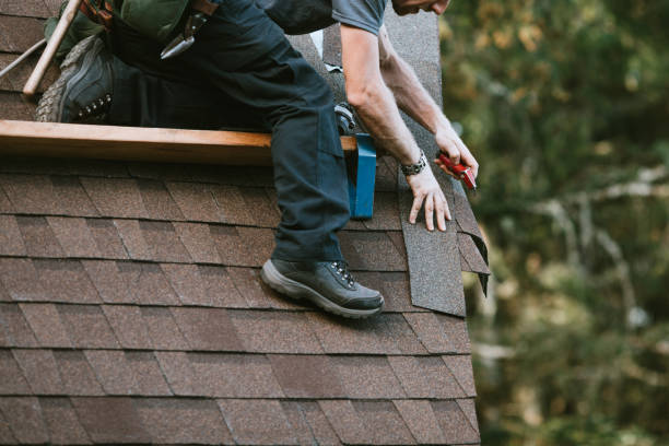 Best Roof Leak Repair  in Farmville, VA